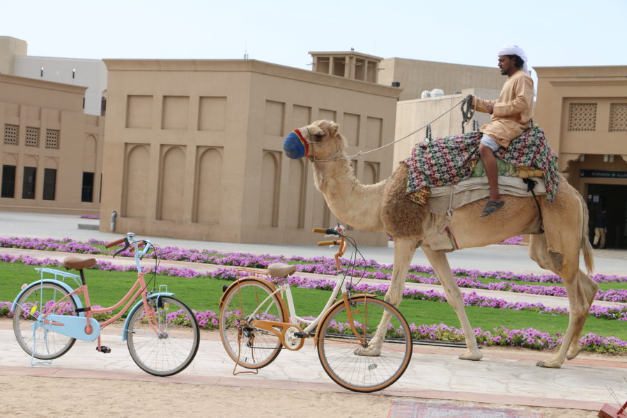 Custom Bicycles