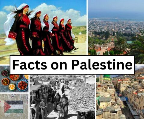 The Young Reporters of Palestine – The Fact Check Series