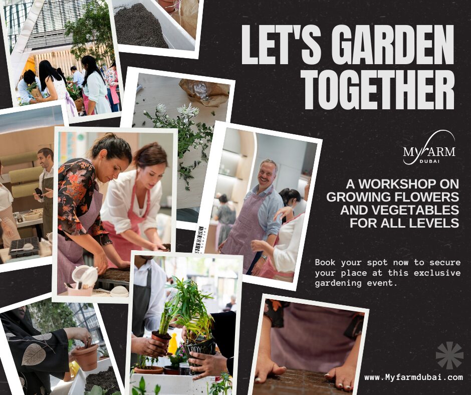 Let’s Garden Together: A Workshop on Growing Flowers and Vegetables for All Levels