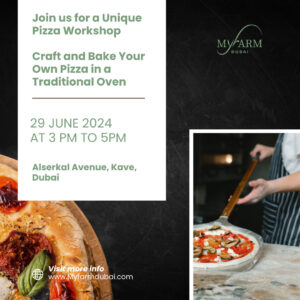 Craft and Bake Your Own Pizza in a Special Oven