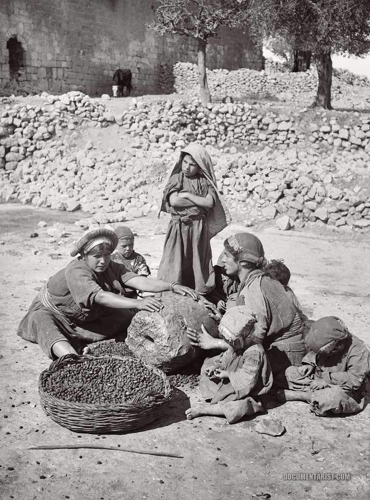 KORBA: Community Gathering: Preserving Olives with Mama May and Haya