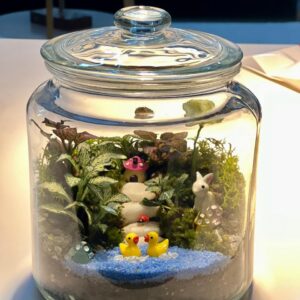 Terranium