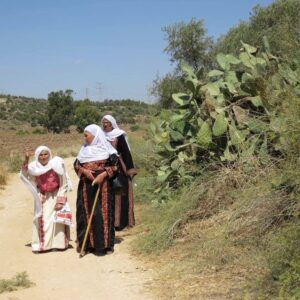 Spring in Palestine- TT