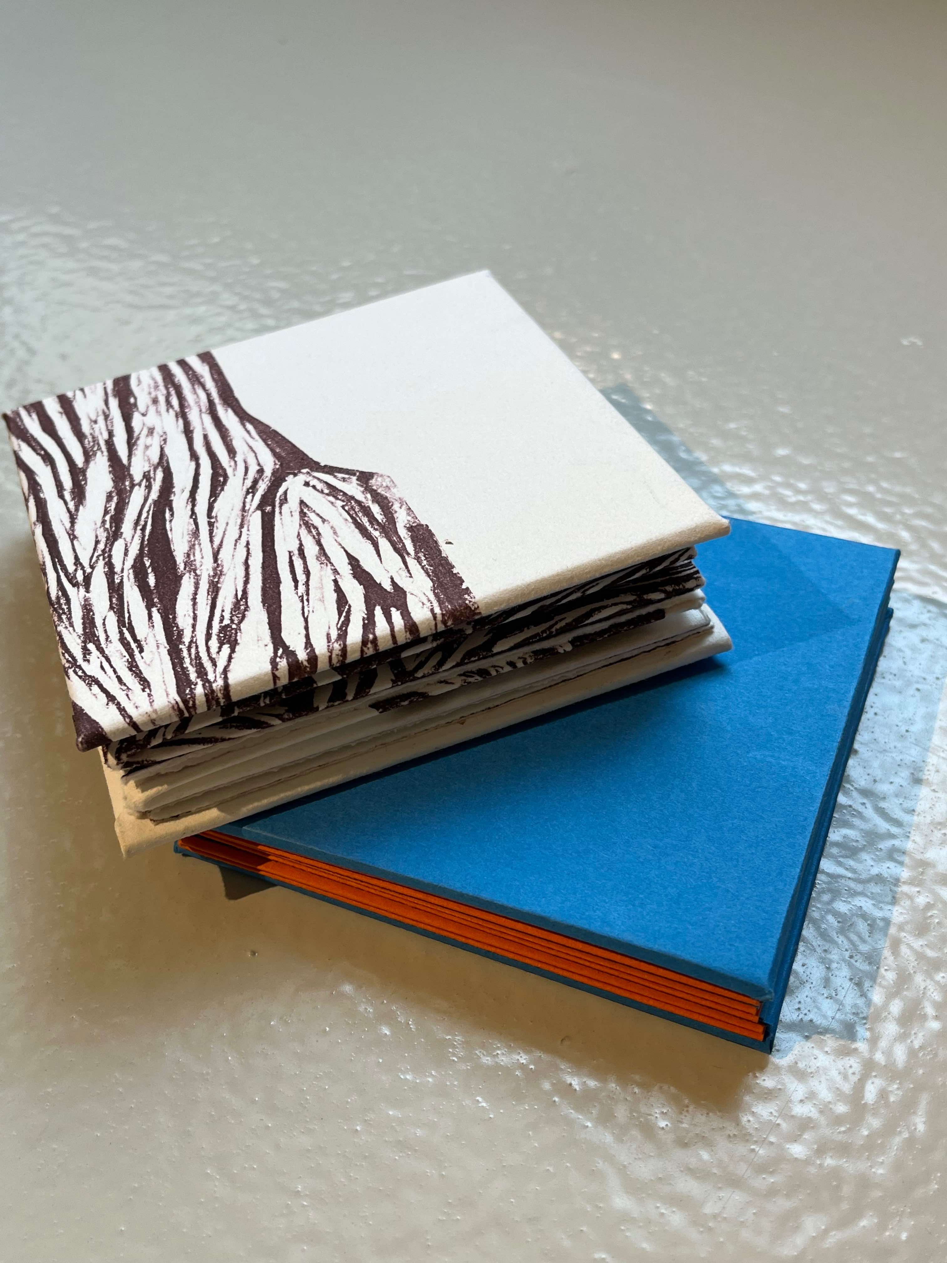 Origami Popup Book Workshop