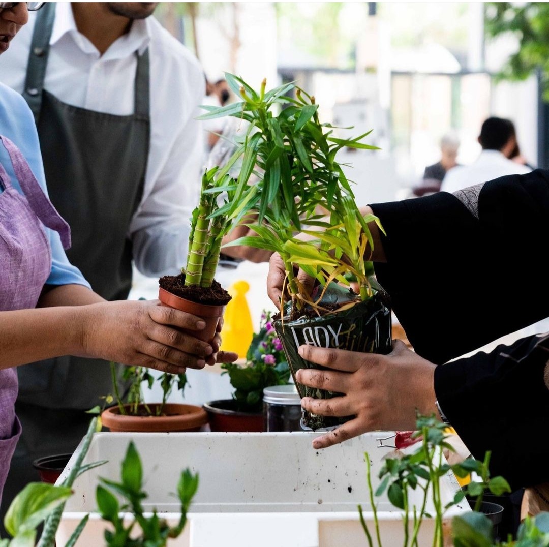 Dabkeh and Gardening