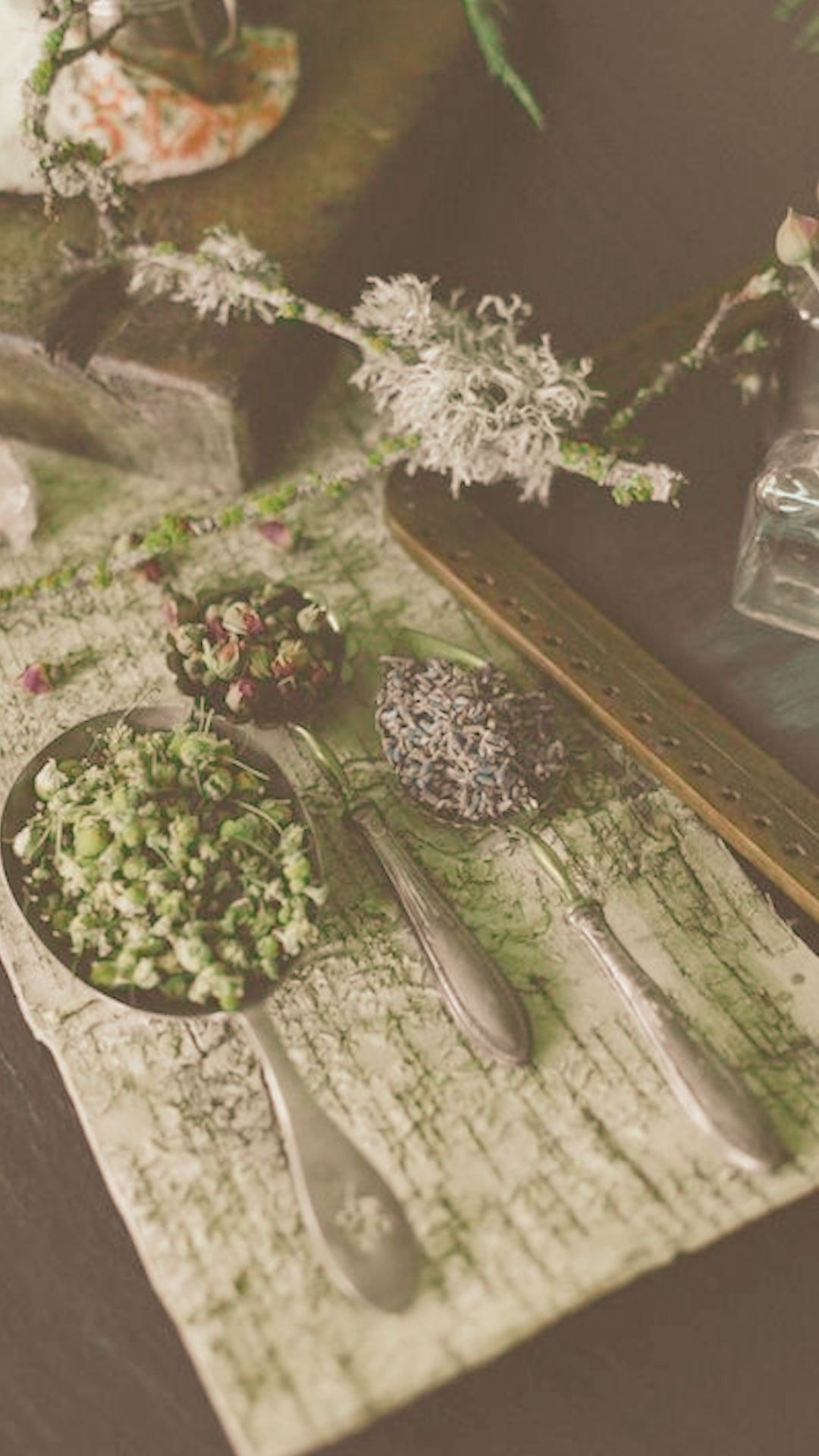 The Herbalist Workshop