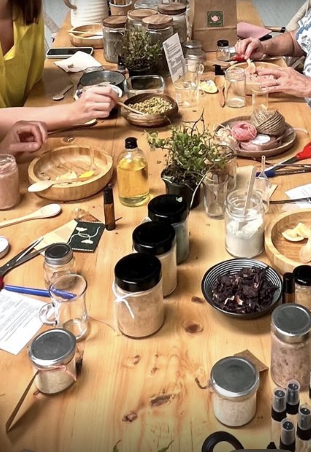 The Herbalist Workshop special