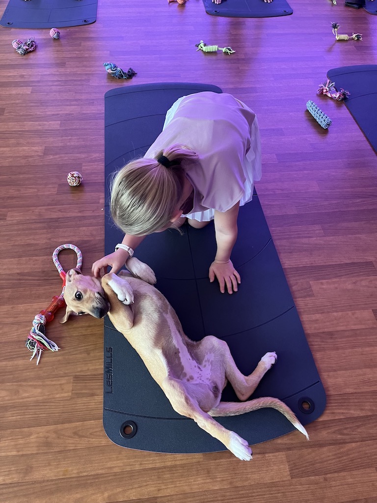 Puppy Yoga with Rescue Dogs