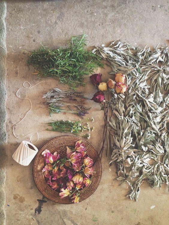 Botanical Beauty & Herbal Tea
